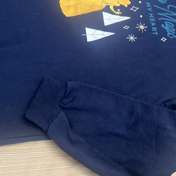 Disney Princess Holiday Magic In My Heart Size Large Long Hoodie sweatshirt New - Picture 4 of 12